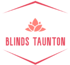 blindstaunton.com